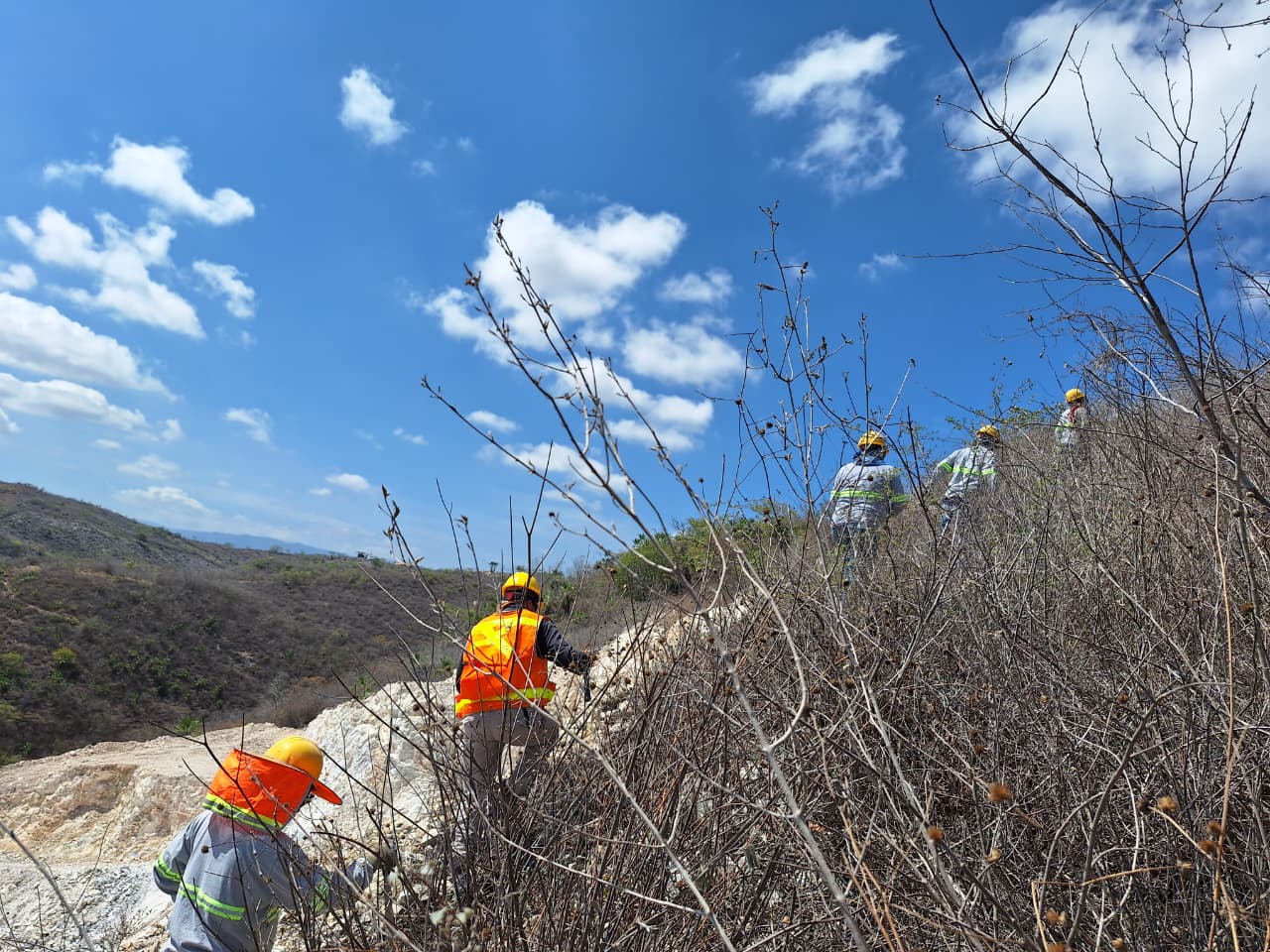 Equipo de Mineral Vector realizando trabajo geológico de campo en un afloramiento